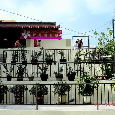 Sakura Guest House Cao nguyên Cameron Ngoại thất bức ảnh